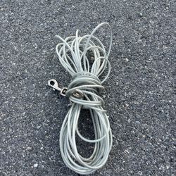 Dog Leads