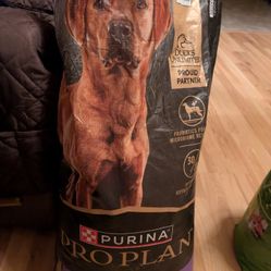 Purina Pro Plan Dog Food 