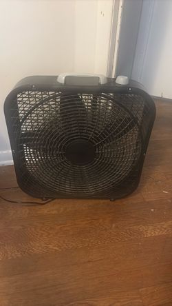 fan