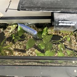 Need Gone!!! Everything In Photo Included!!