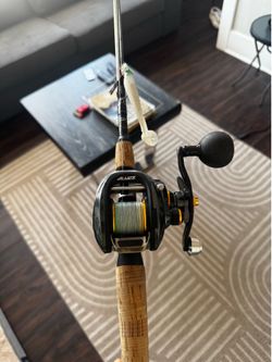 Piscifun Alijoz 300 Baitcaster/Rod