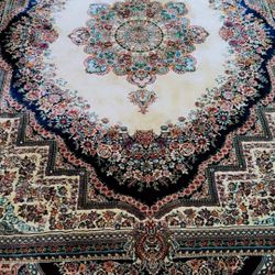 Persian Rug 6meters 