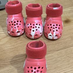 Dog Crocs Size Medium