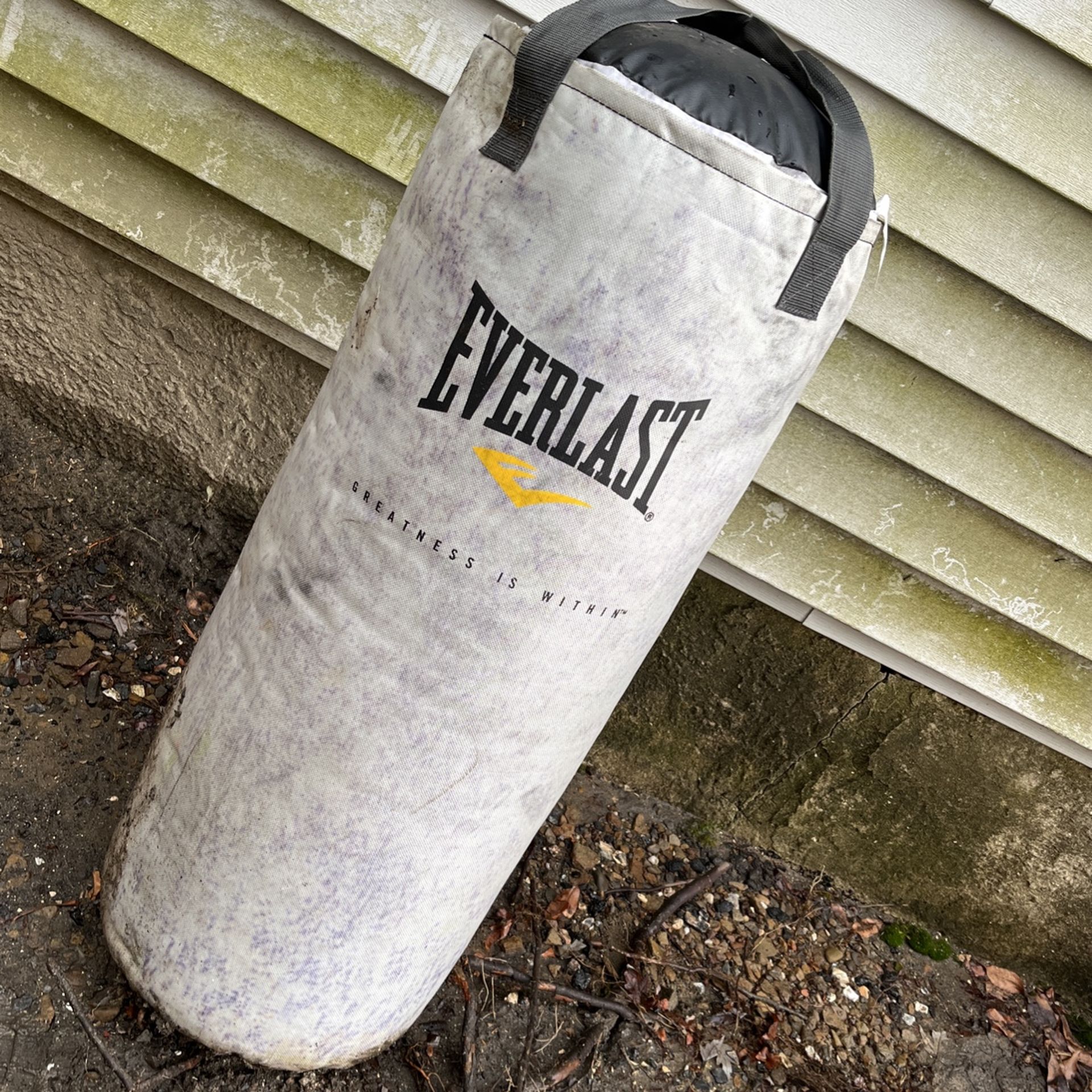 Punching Bag
