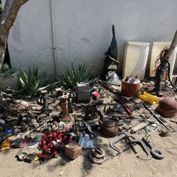 Little Of Everything 