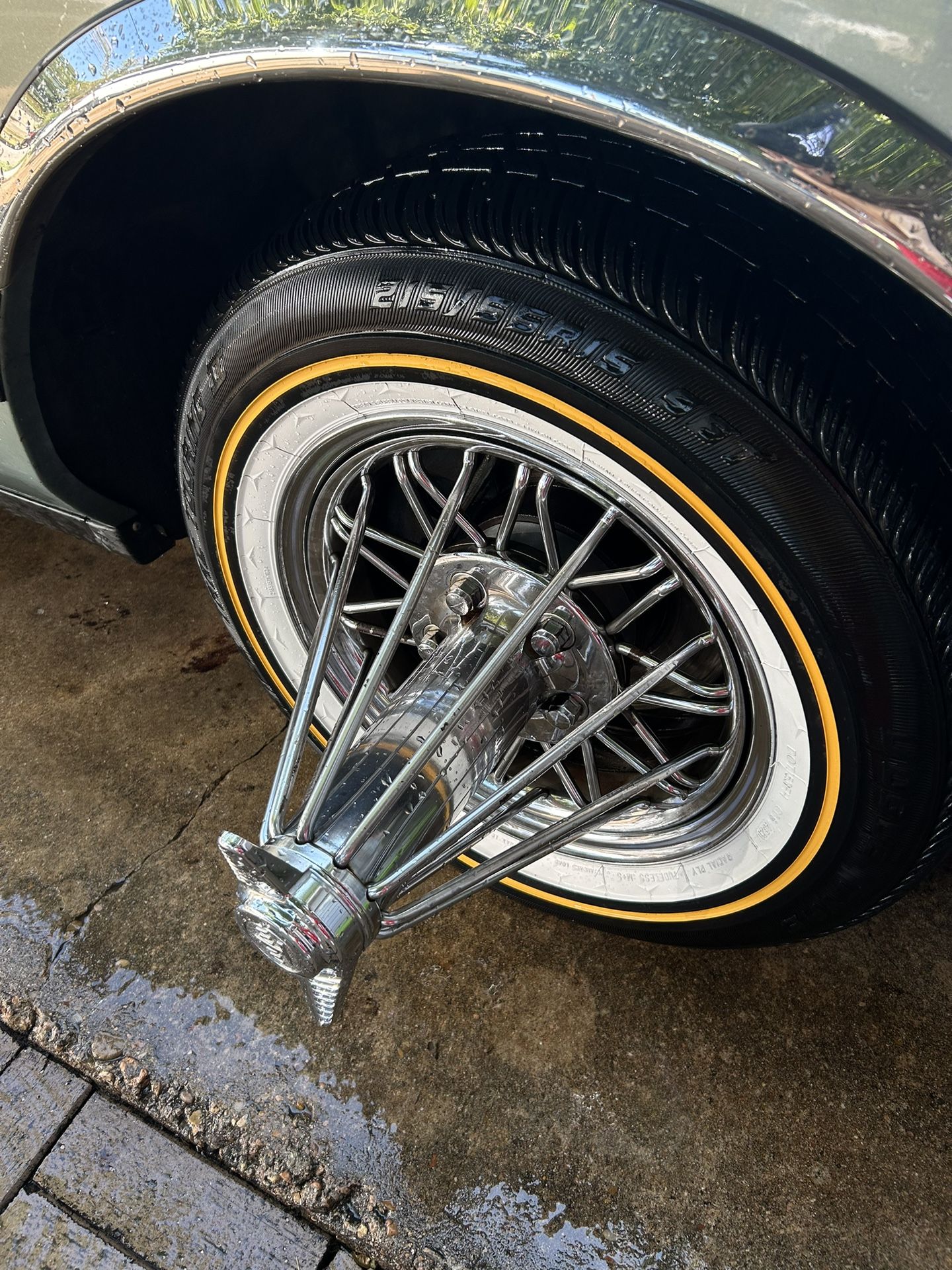 Swangas