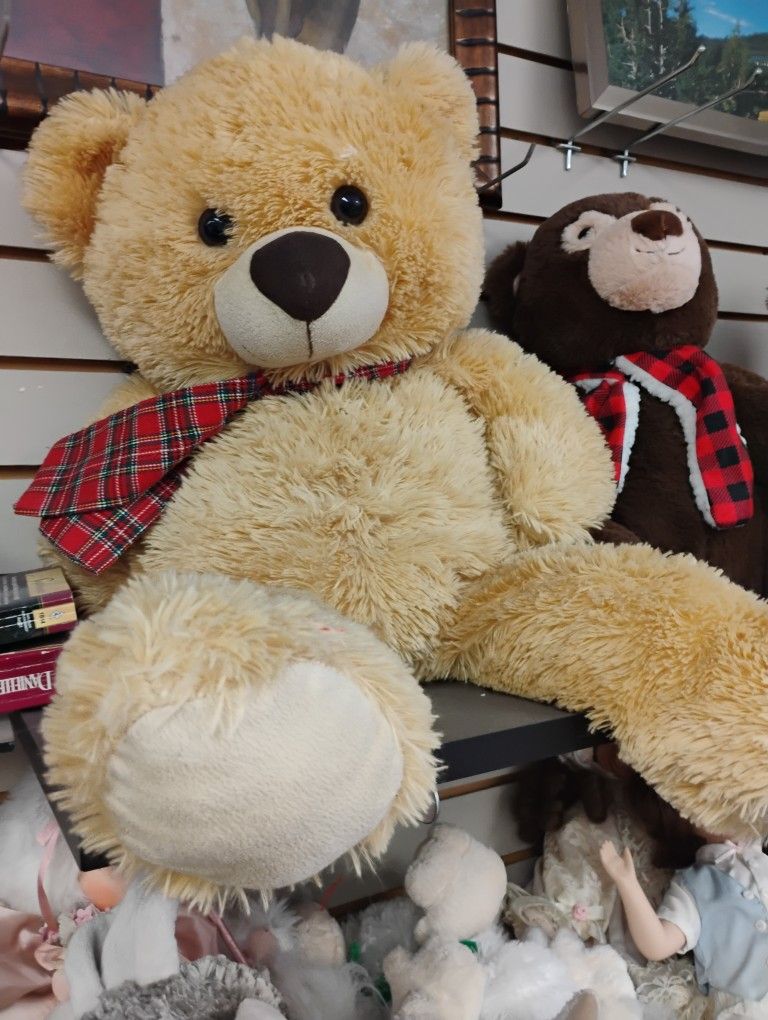 Teddy Bear