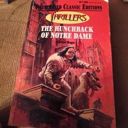 The Hunchback  Of Notre Dame Book Thrillers 