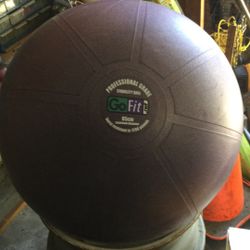 “Go Fit” 65 CM Exercise Ball (lots of uses) - $5!
