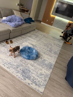 LARGE AREA RUG