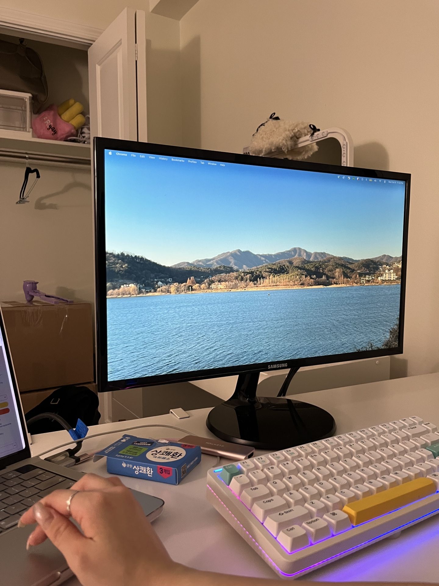 Samsung 24" Monitor (Move-out sale)