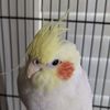 Ricardo