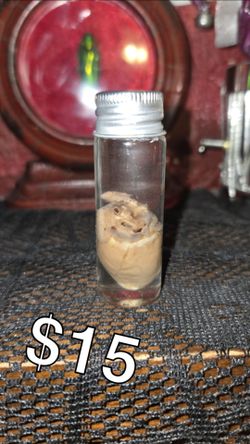 Wet specimen