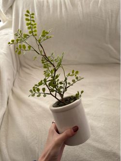 4 fake plants - decorations