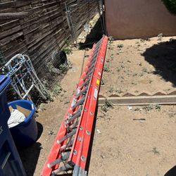 Extended Ladder