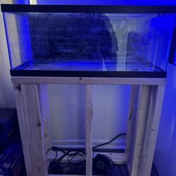 20 Gallon With Stand 