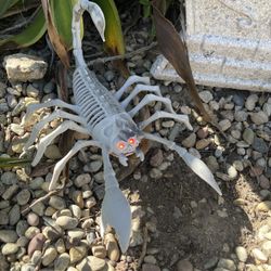 Light Up scorpion skeleton Halloween 