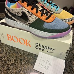 DS sz10 Nike Book1 “What the”