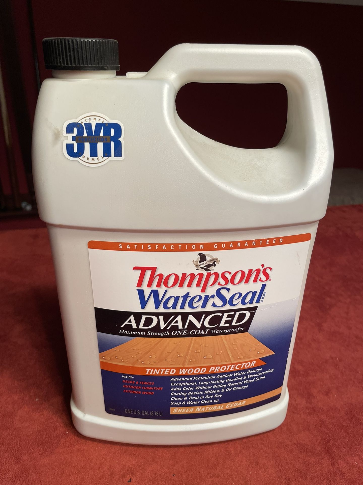 Thompson’s Waterseal Advanced