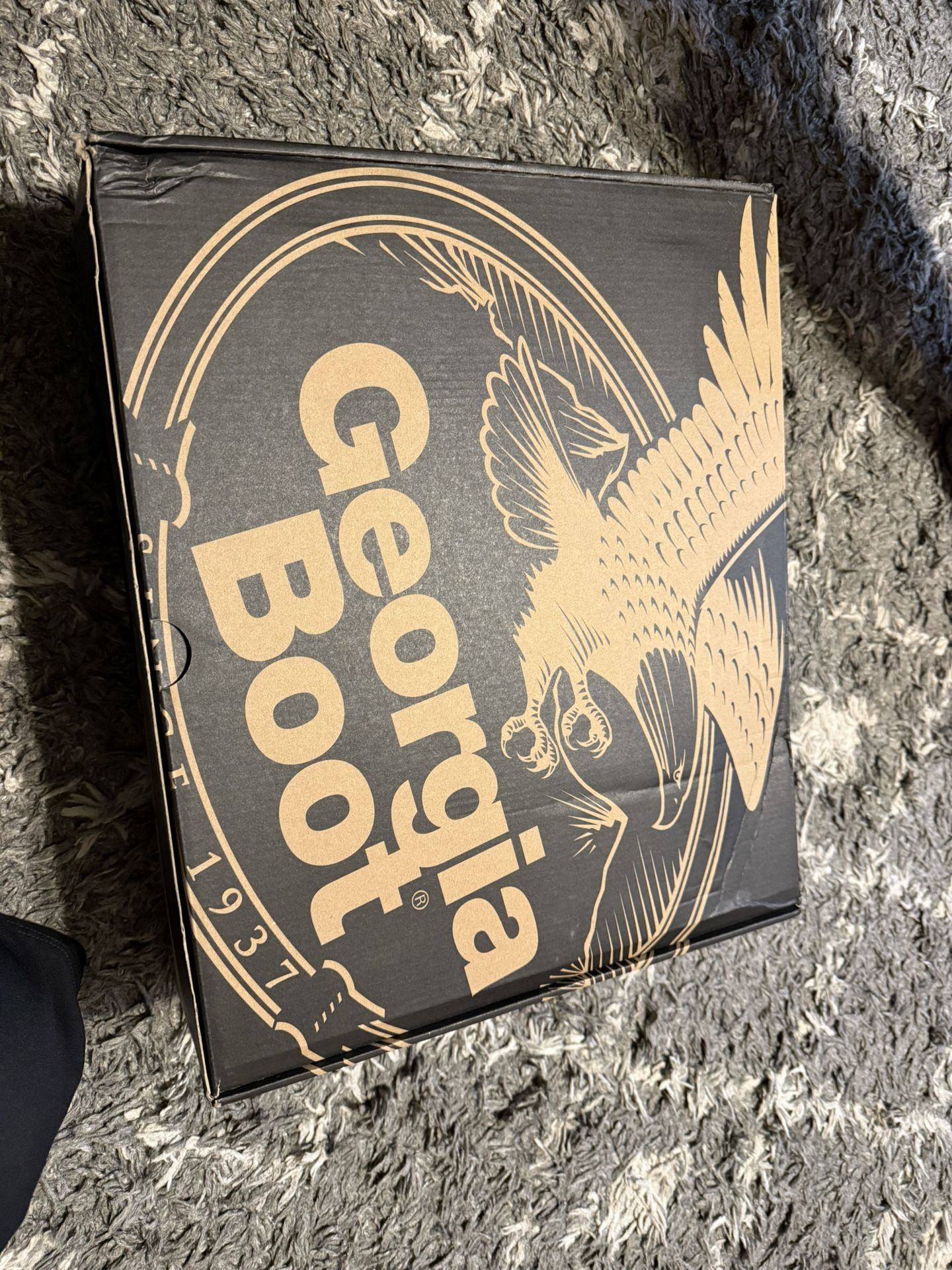 Brand New Work Boots