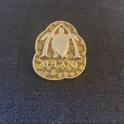 Disney Pin