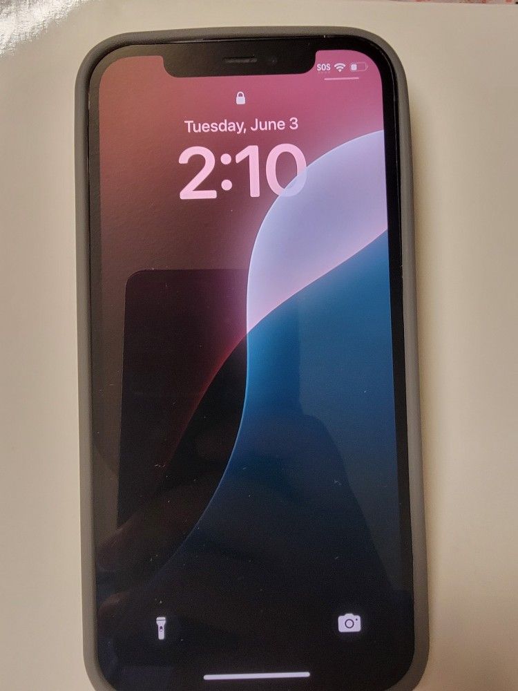 Unlocked Apple iPhone 12 With Case And Charger 