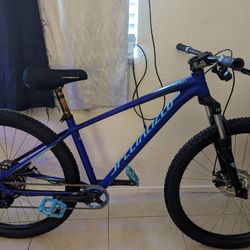 Specialized Mountain Bike 