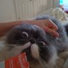 Alan
