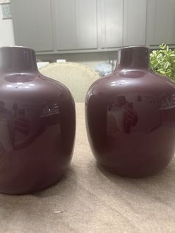 Plant vases