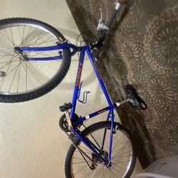 Trek Mountain Bike 800