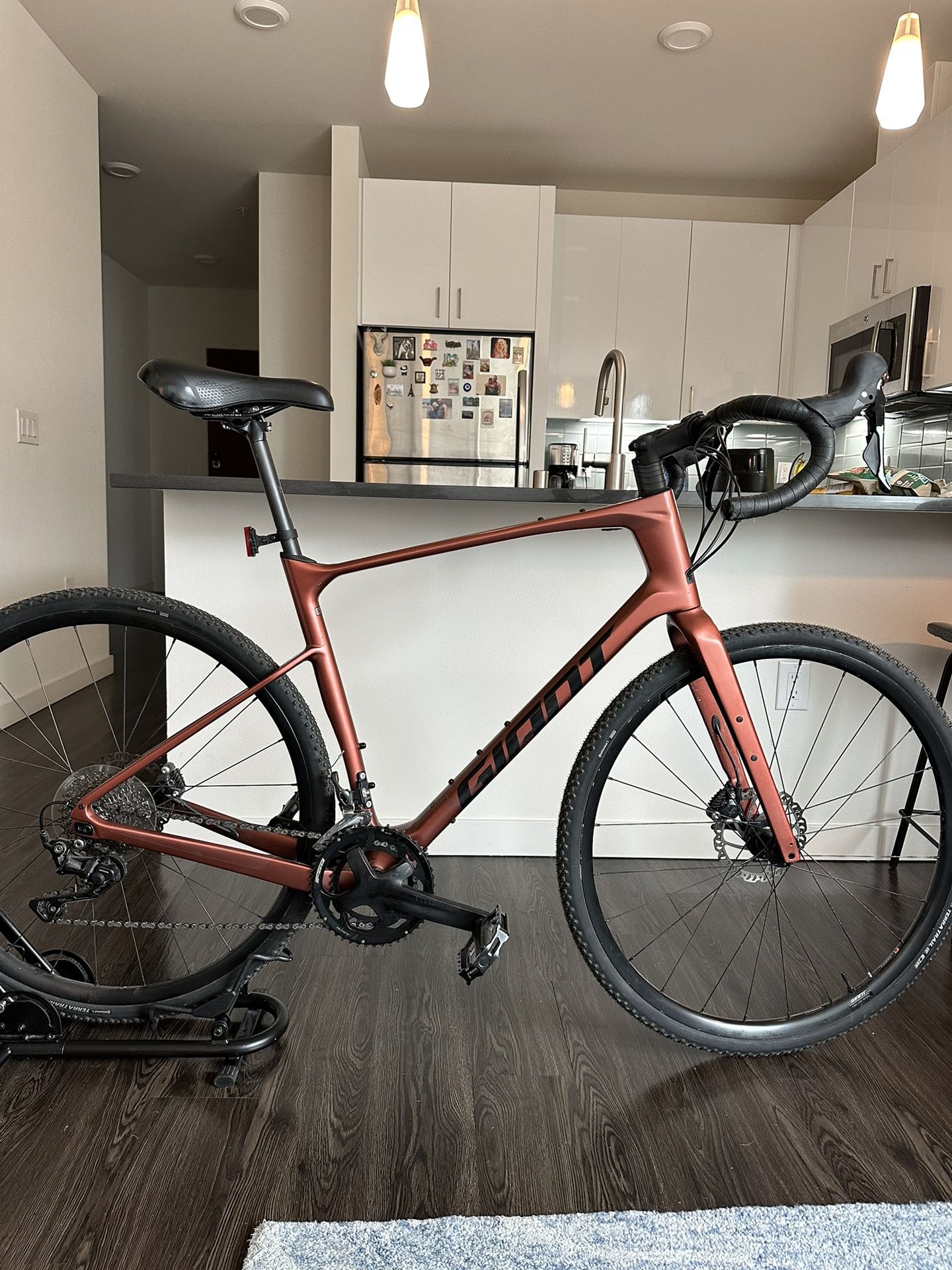Giant Revolt Advanced Gravel Bike 2019