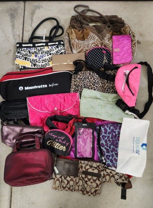 Bag Full Of Purses For $20