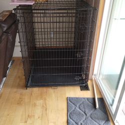Dog Kennel 