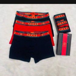 Men’s Briefs Size L Only