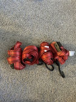 10 ft. x 1 in. Cam Buckle Tie- Downs