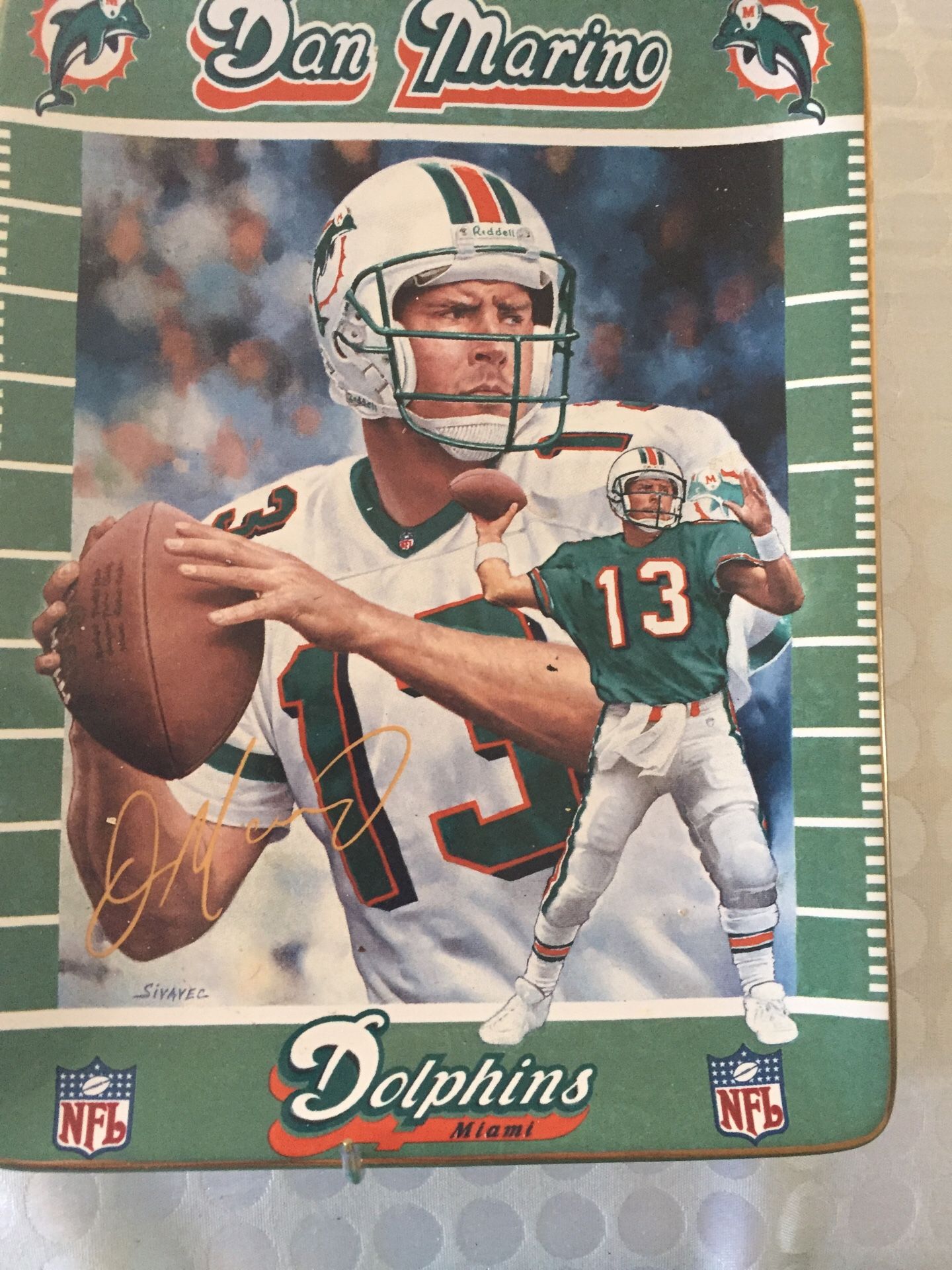 Dan Marino Miami dolphins collector plate