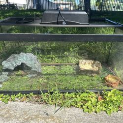 20 Gallon Long Terranium With Light And Accessories 