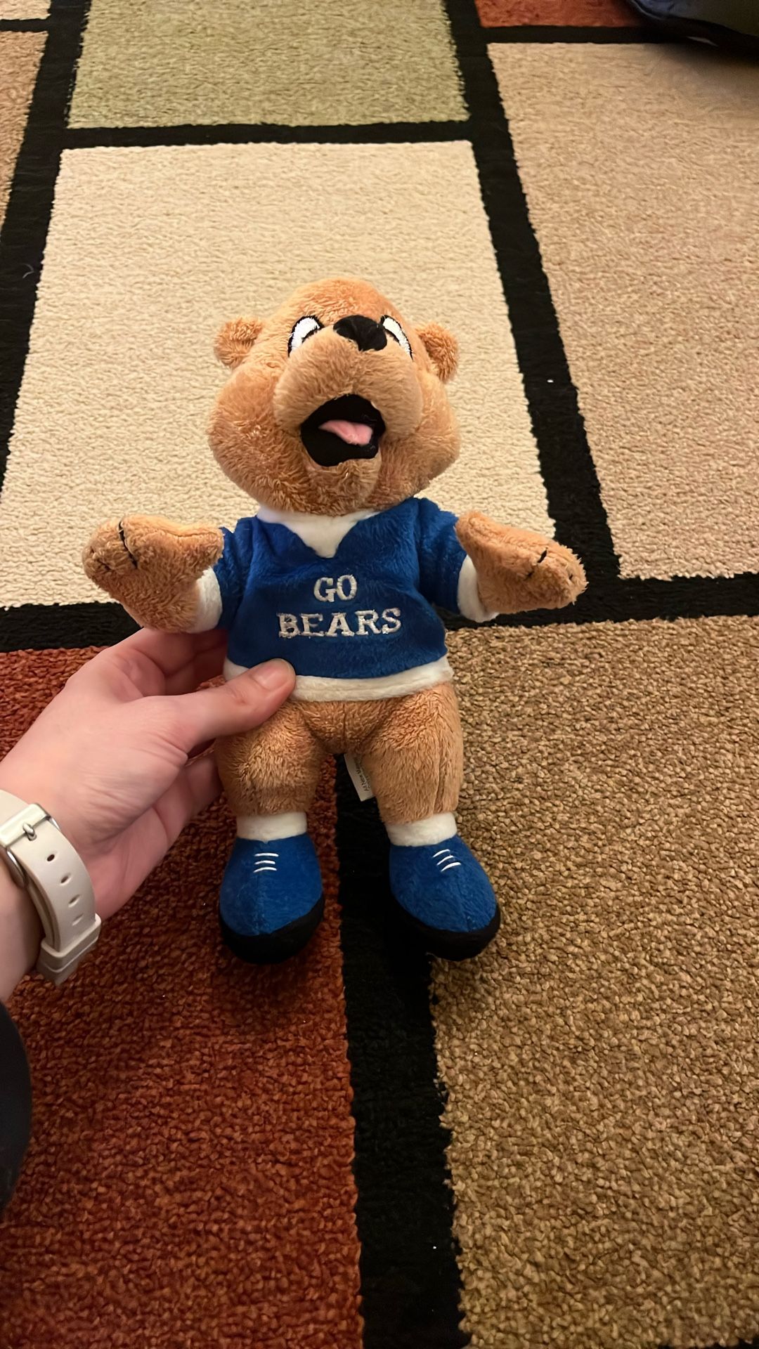 GO BEARS Plushie