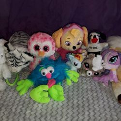 Stuffed Animals 
