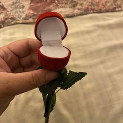 Red Rose 🌹 Ring Case 