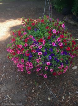 Beautiful baskets