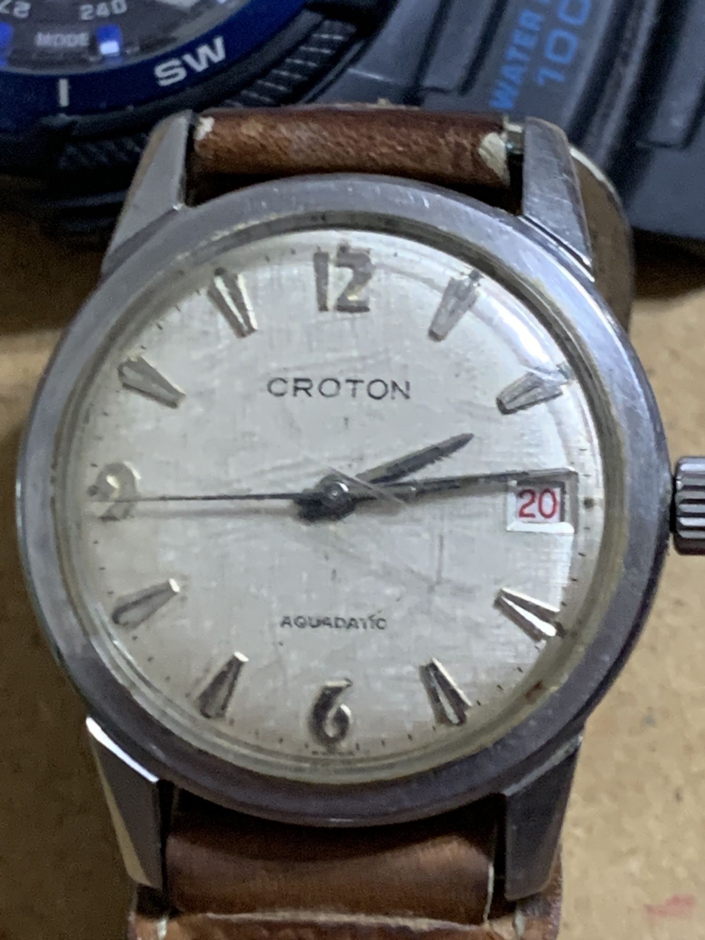 Croton Aquadatic