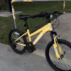 selling mountain bike