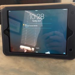 iPad Mini with Case