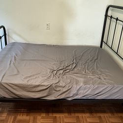 Free Bed 