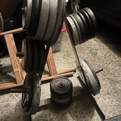 Weight Tree Rack, Plates,  And Barebell 