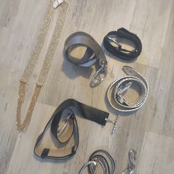 Never worn six high-end belts. A sprit. Guess. Banana Republic. Chico.