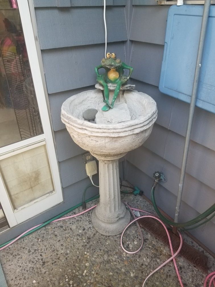 Frog fountain