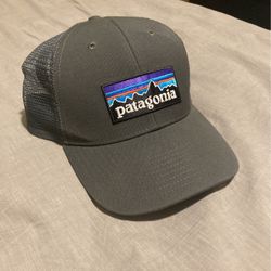 Grey Patagonia Cap