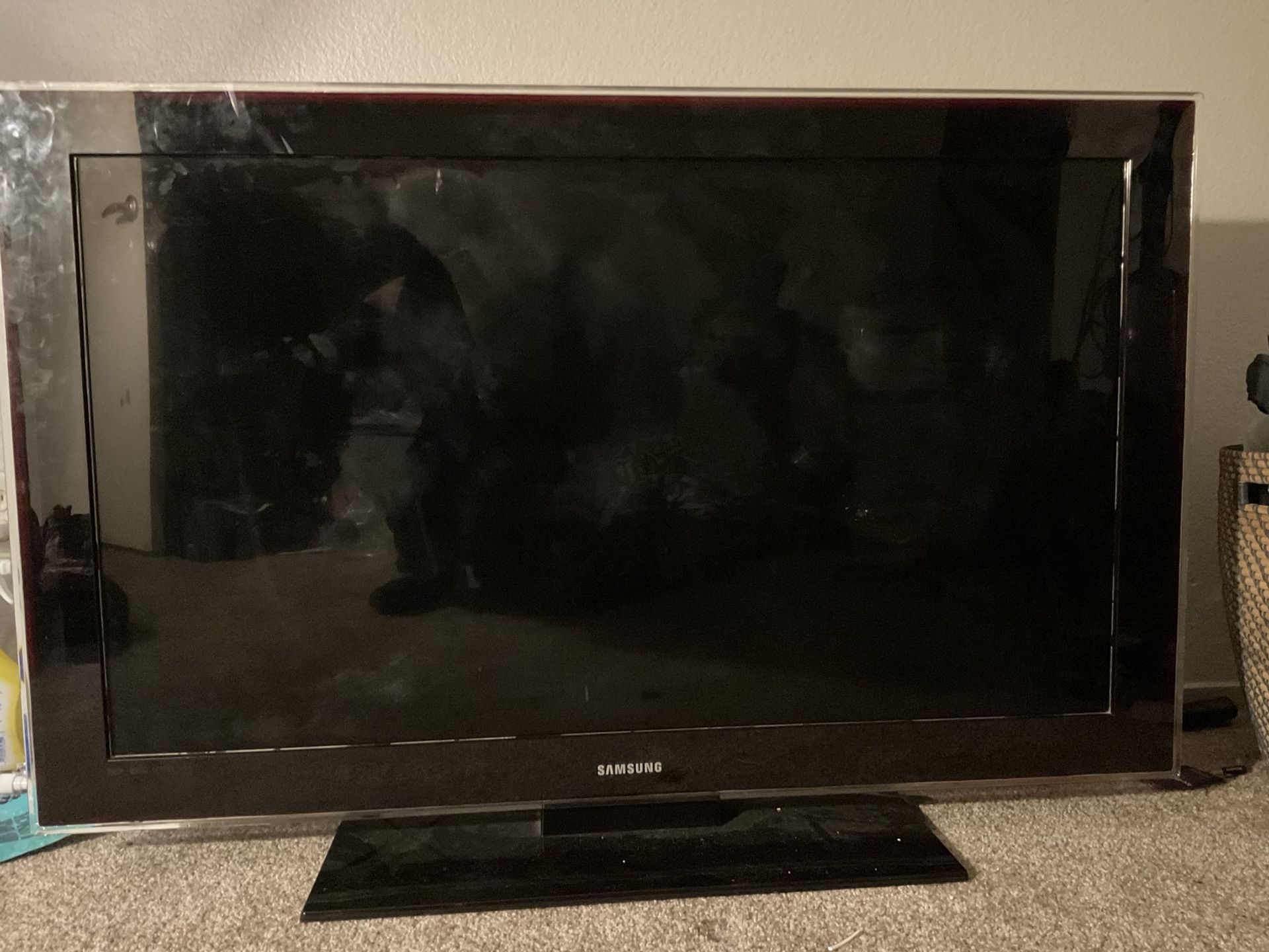 55 Inch Plasma Screen TV